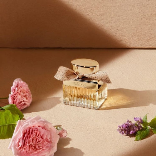 Chloe Rose Tangerine Eau de Toilette Spray for Women, 2.5 Ounce