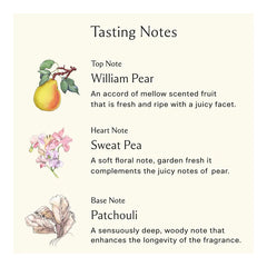 JO MALONE ENGLISH PEAR & SWEET PEA COLOGNE 100ML PERFUME