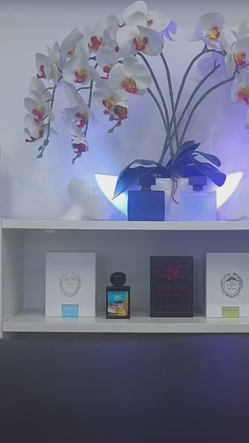 Club De Nuit Maleka Eau De Parfum 105ml – for Women